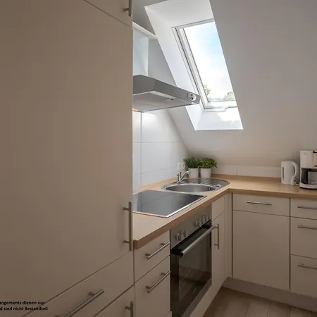 Friesenmuschel -